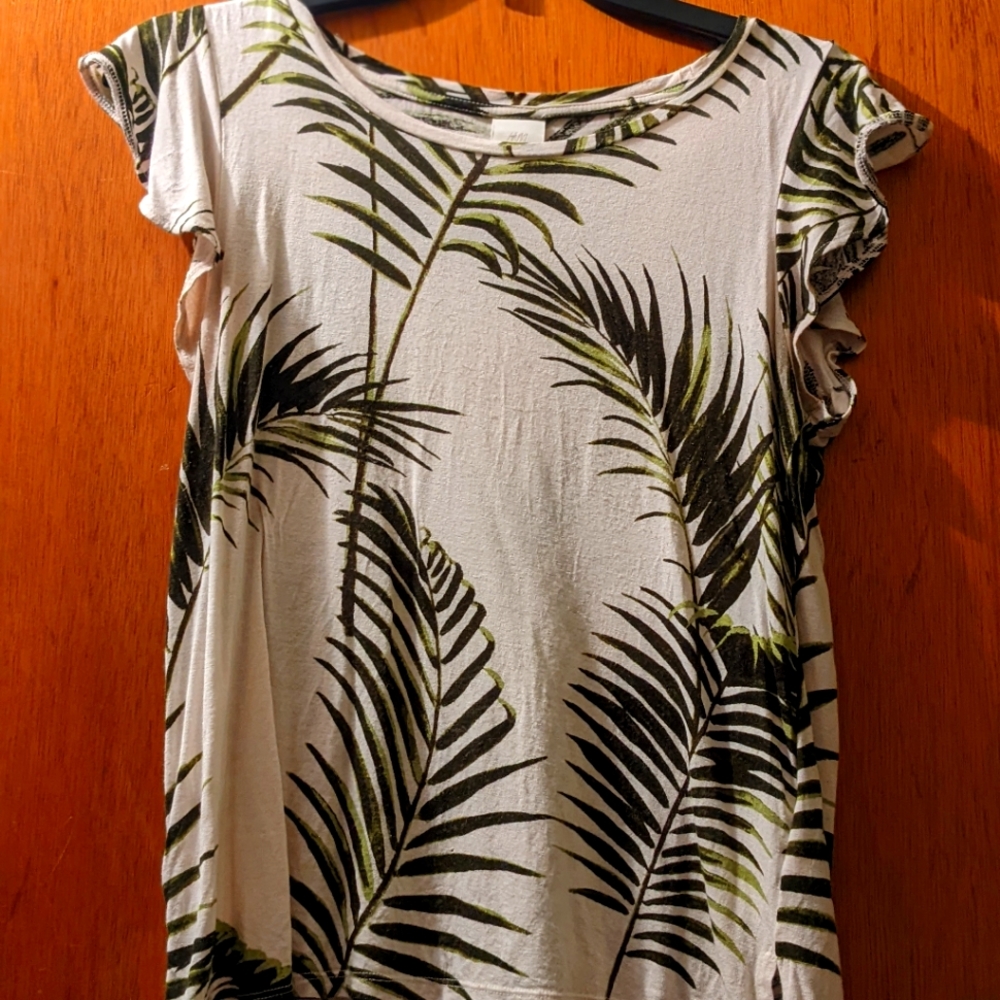 H&M Flutter Sleeve Top